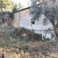 Immagine WhatsApp 2023-10-30 ore 10.39.53_be2ec580