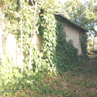 Immagine WhatsApp 2023-10-30 ore 10.39.54_5a0780a9