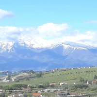 Immagine WhatsApp 2025-11-22 ore 11.59.11_184f4e63AZIZI