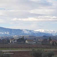 IMG-20250520-WA0054